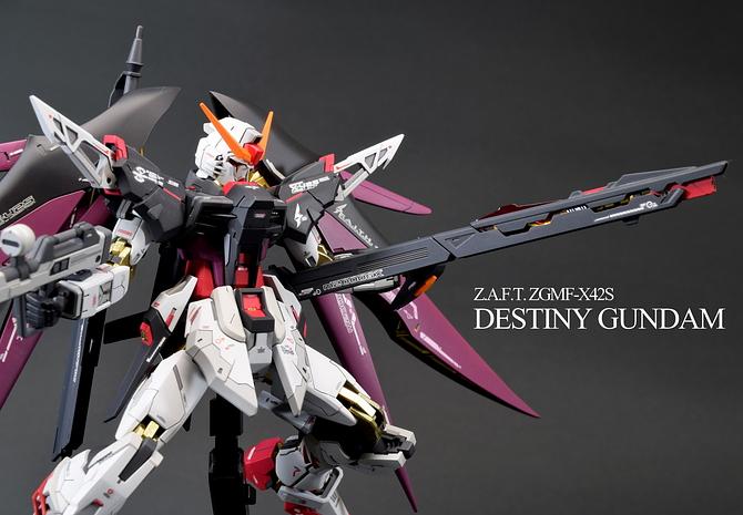 HG デスティニーガンダム ガンプラ全塗装完成品 - csihealth.net