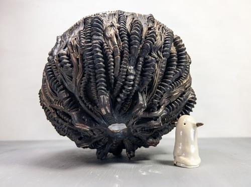 564q59p0d0uyzqqiglvs59r4cg0r