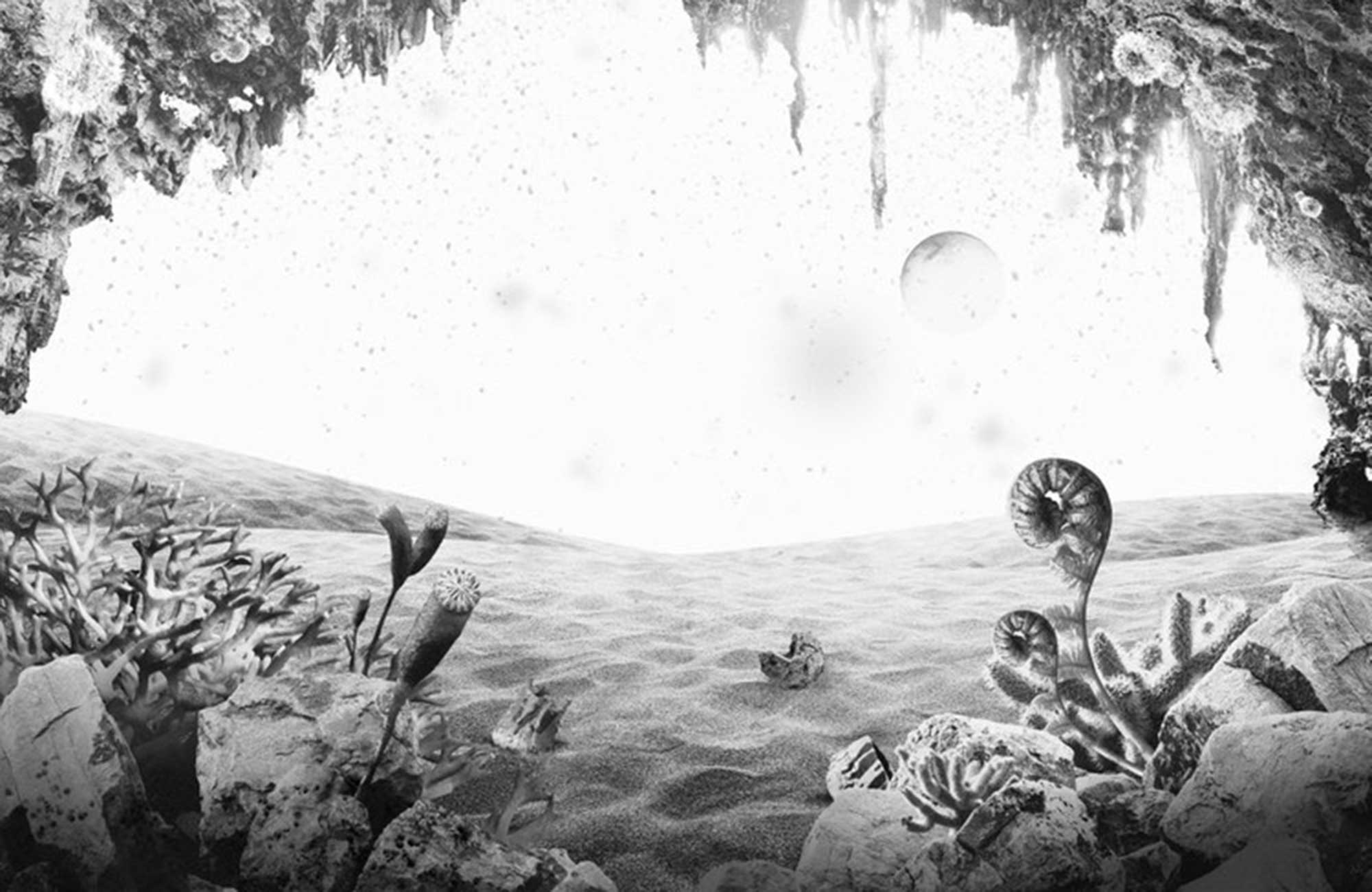 PLANET X OFFCIAL AUCTION